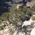 Grand Canyon Trip 2010 368
